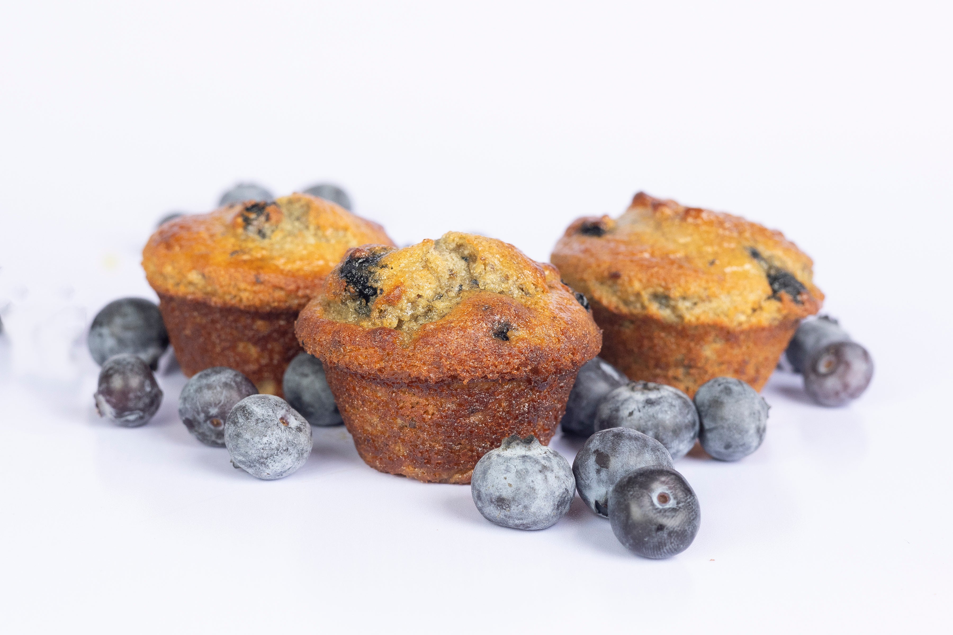 Wild Blueberry Muffits